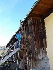 P1030230