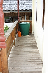 IMG_5525